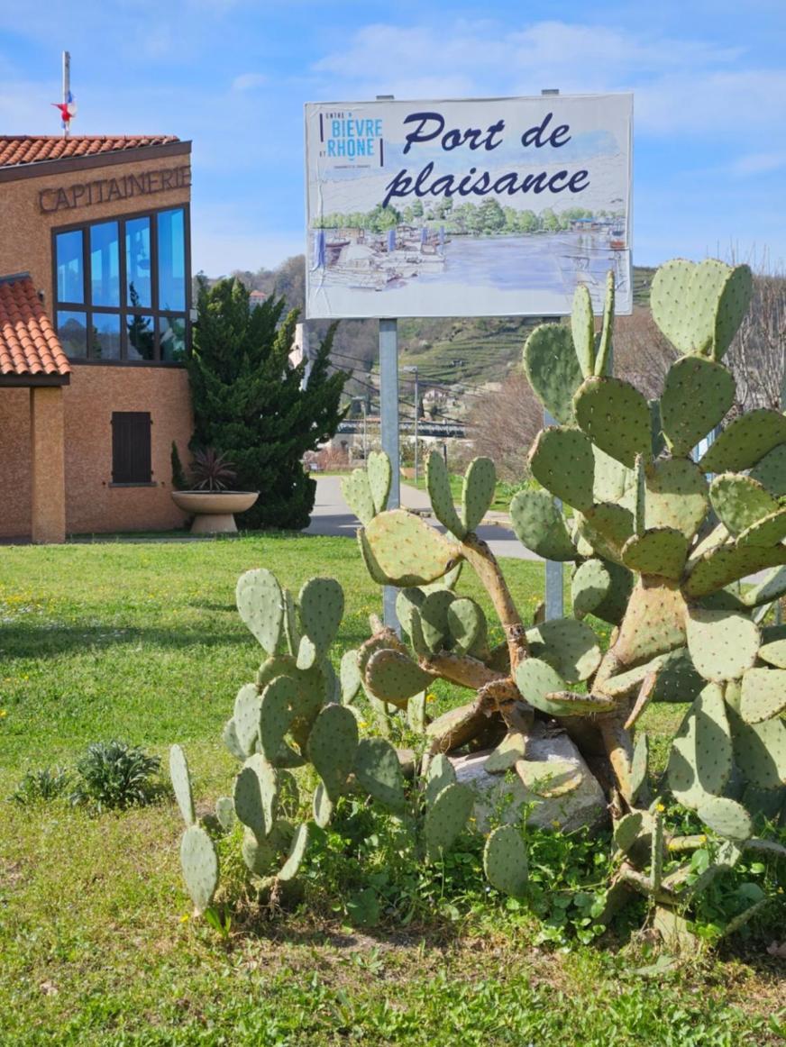 Campsite Les Bords Du Rhone *